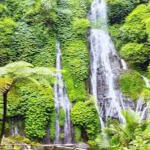 Banyumala Waterfall Banyumala Waterfall