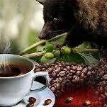 Plantation Coffe Plantation Coffe