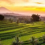 Jati Luwih Jati Luwih